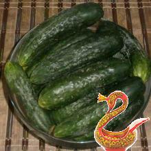 Salted cucumbers for winter