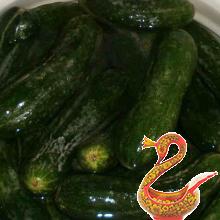 Salted cucumbers for winter