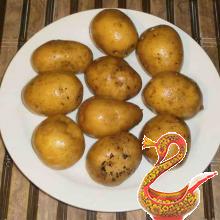 Potato cutlets Russian recipe