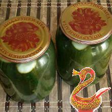 Russian recipe pickled cucumbers with citric acid