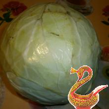 Take One cabbage, weighing about 5 pounds
