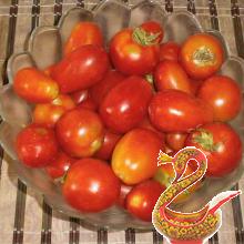 Tomatoes in own juice recipe for ages