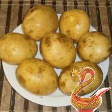 Chanterelles fried potatoes