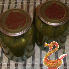 Russian homemade Salted cucumbers for winter