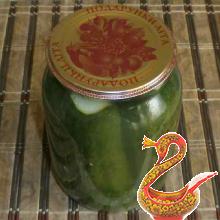 Russian recipe pickled cucumbers with citric acid