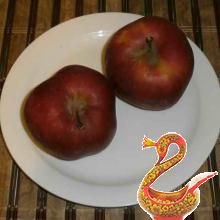 two large (or three smaller) Apple